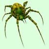 Bright Green Spider