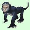 Dark Grey Monkey