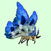 Beige Moth w/ Blue & White Wings