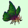 Beige Moth w/ Green Wings