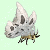 Beige Moth w/ White Wings