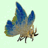 Beige Moth w/ Blue Wings