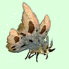 Beige Moth