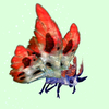 Indigo-Blue Moth w/ Red & White Wings