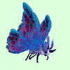 Blue & Magenta Moth