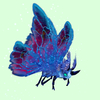 Cyan-Blue Moth w/ Blue & Magenta Wings