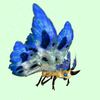 Yellow Moth w/ Blue & White Wings