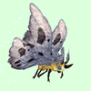 Yellow Moth w/ Grey Wings