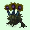 Yellow, Purple, Green & Dark Blue Mandragora