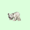 White Bear Cub