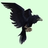 Black Raven