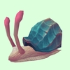 Blue & Pink Sea Snail