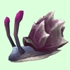 Ornate Purple Sea Snail