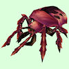 Classic Cerise Beetle