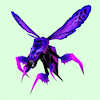 Purple Wasp