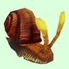 Auburn & Yellow Snail