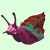 Red Rock Snail