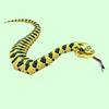 Yellow & Black Snake