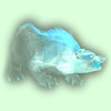 Spectral Bear