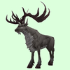 Grey Stag