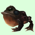 Dark Brown Toad