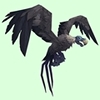 Blue-Grey Vulture