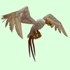 White Vulture