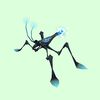 Blue-Black Water Strider