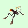 Orange Armored Water Strider