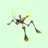 Yellow Water Strider